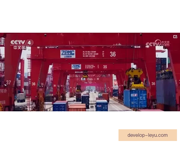 埃弗顿冬窗引援动态与保级形势深度解析及未来规划展望全面观察