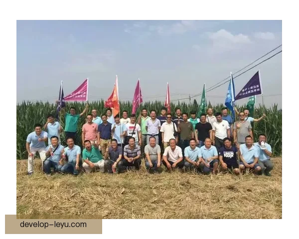 洛里昂俱乐部：重塑辉煌的足球征程与未来发展策略